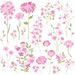 Obraz na płótnie Canvas Hand Drawn Pink Flowers