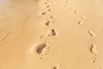 Fototapeta na wymiar foot prints on the beach of seychelles
