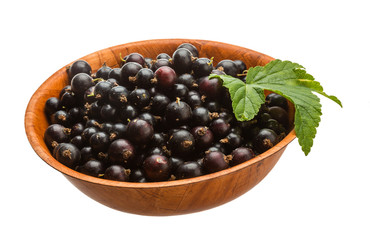 Black currant