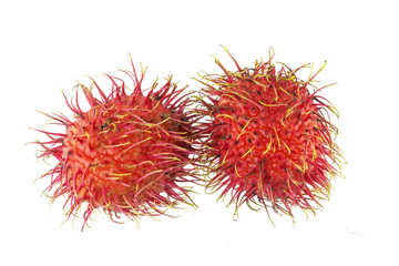 Rambutan - Tropical Fruits Rambutan