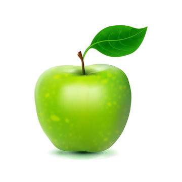 Photo-realistic image of green fresh apple