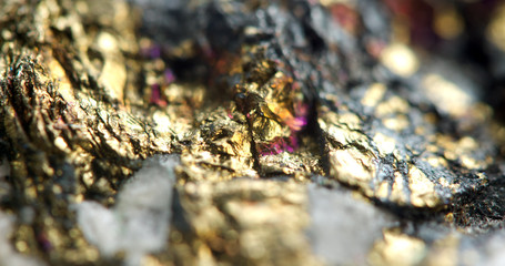 Golden background, rather unique macro photo a rare nugget