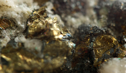 Golden background, rather unique macro photo a rare nugget