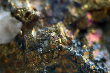 Golden background, rather unique macro photo a rare nugget