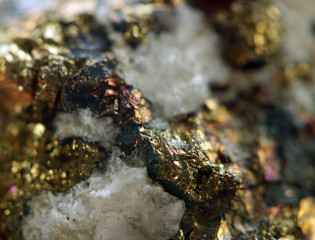 Golden background, rather unique macro photo a rare nugget