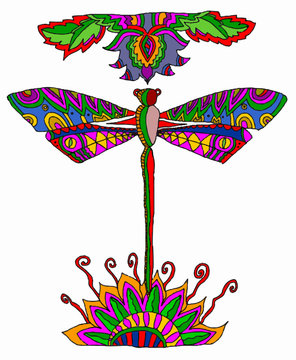 libellula multicolor