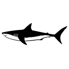 Fototapeta premium Great White Shark Silhouette Isolated on White