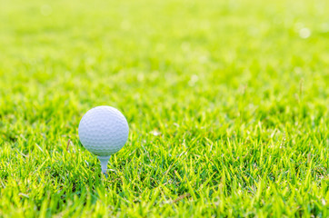 Golf ball on green grass