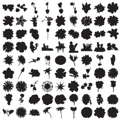 Hundred Flower Silhouettes