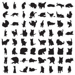 Many Cat Silhouettes