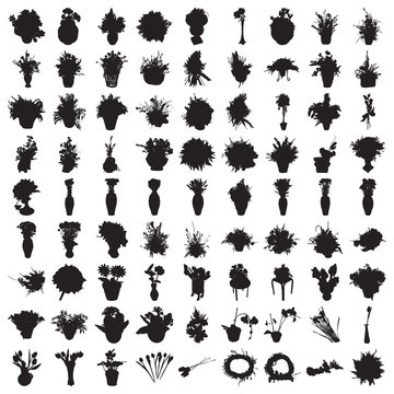 Hundred Floral Silhouettes