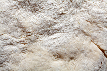 Dough texture