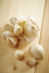 Garlic
