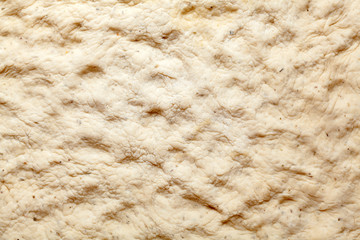 Dough texture