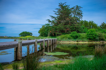 Etang du Fret, CROZON 29