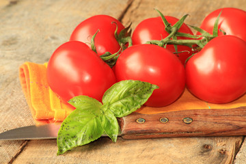 tomates et basilic