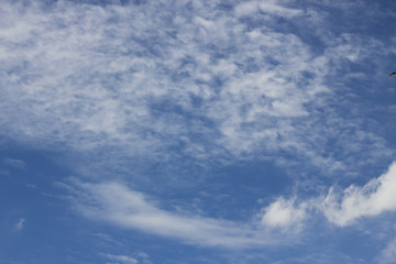 clouds in the blue sky