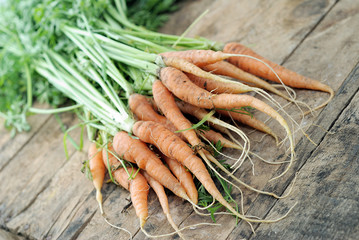 fresh carrots