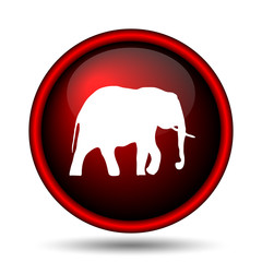 Elephant icon