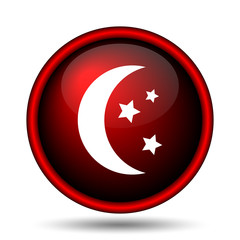 Moon icon