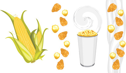 Corn flakes and popcorn products