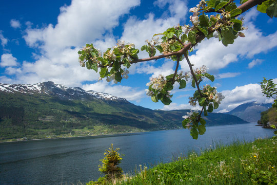 Magical landscape of Norway in May