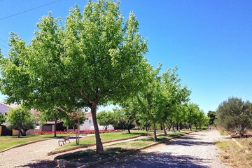 jard&iacute;n, &aacute;rboles y flores