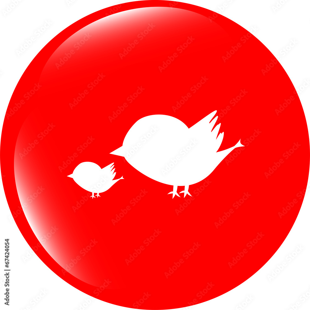 Poster glossy isolated website and internet web icon with bird family