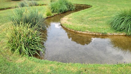 Stream in green garden landscape