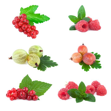 set of fresh berry with leaf