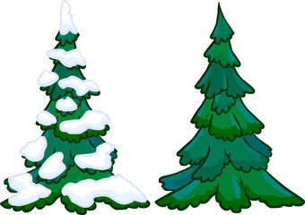 Illustration of cotifer tree. Isolated