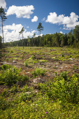 Saaremaa island, Estonia