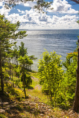 Panga Pank - highest cliff in Saaremaa,Estonia