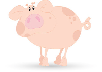 The pig