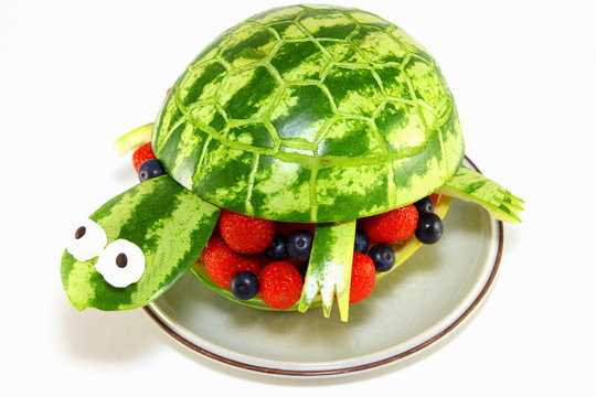Melonen-Schildkröte