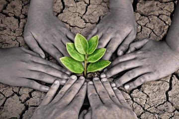 hands joining together around a tree growing on cracked earth