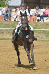 horse jumping