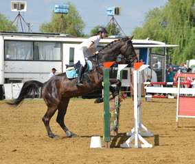 horse jumping