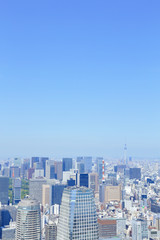 Fototapeta na wymiar 東京タワーからスカイツリー