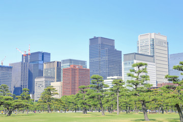 Fototapeta premium 丸の内のビル群
