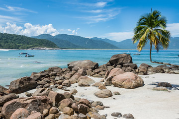 Perfect One Palm Tree Beach, Ilha Grande Island. Tropical Paradi - obrazy, fototapety, plakaty