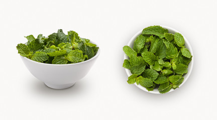 fresh mint leaf isolated on a white background