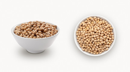 soybean isolated on a white background
