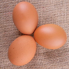 Chicken eggs on gunny sack 