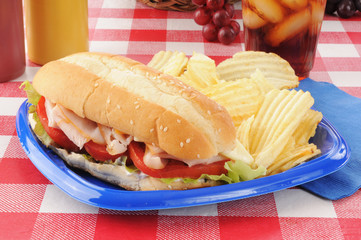Turkey submarine sandwich