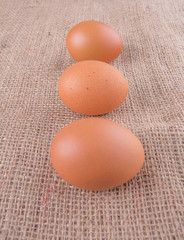 Chicken eggs on gunny sack 