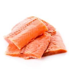 salmon fish