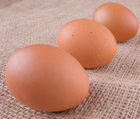 Chicken eggs on gunny sack 