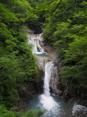 Fototapeta na wymiar Nishizawa Valley in Yamanashi, Japan
