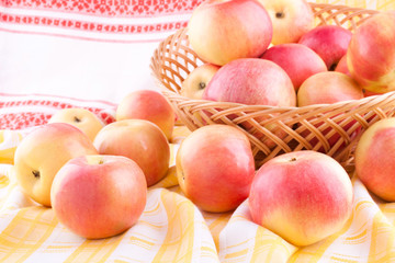 The apples scattered on the tablecloth